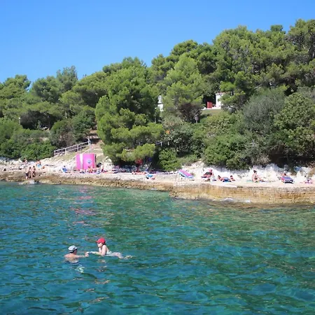 Katarina Διαμέρισμα